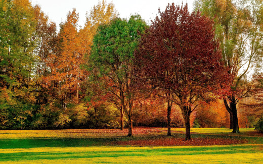 1258002 (a): :2560x1600